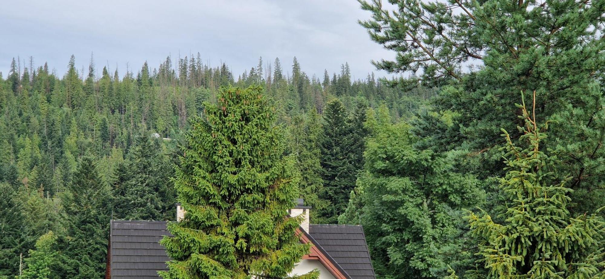 Pokoje Apartamenty Pod Limba Zakopane Exterior foto